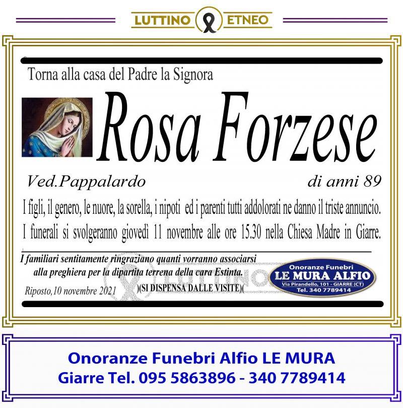 Rosa  Forzese